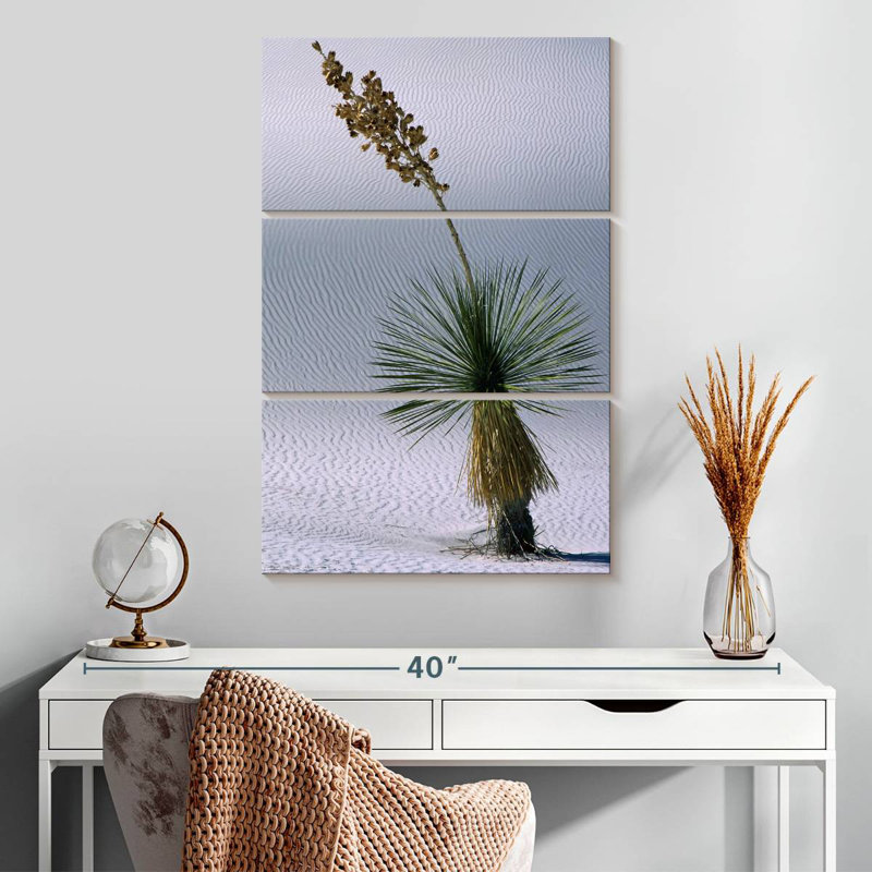 Succulent Harnek Yucca, H 32 po x l 20 po