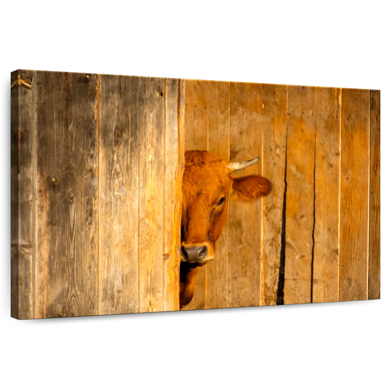 Murnau-Werdenfels Cow, 30" H x 45" W