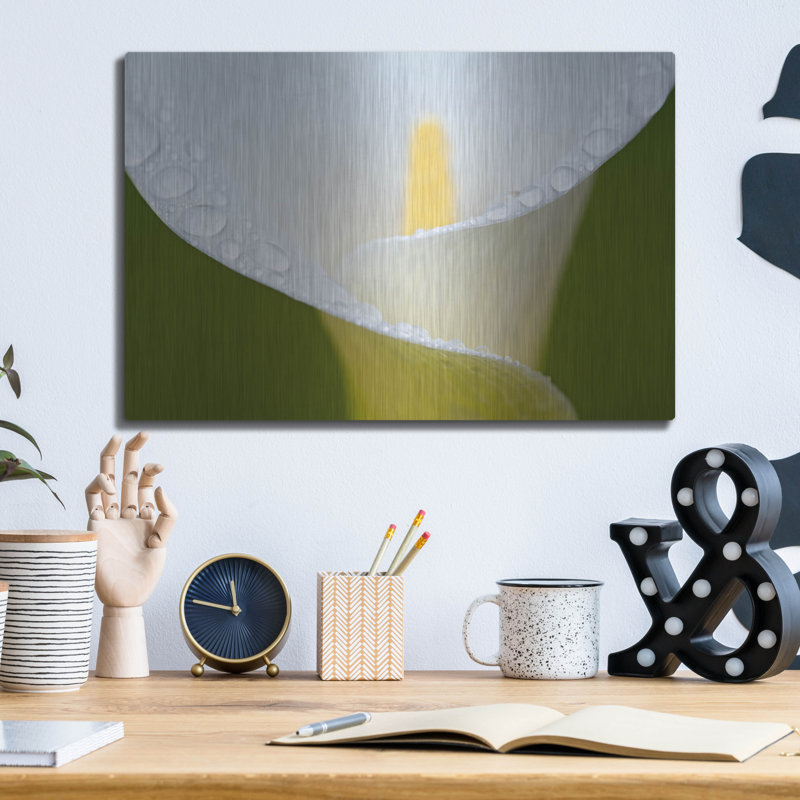 «White Flower II» par Dennis Frates, H 12 po x l 16 po