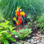 Art de jardin d'oiseaux de la jungle en fer Loper