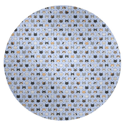 Tapis bleu zone kitty