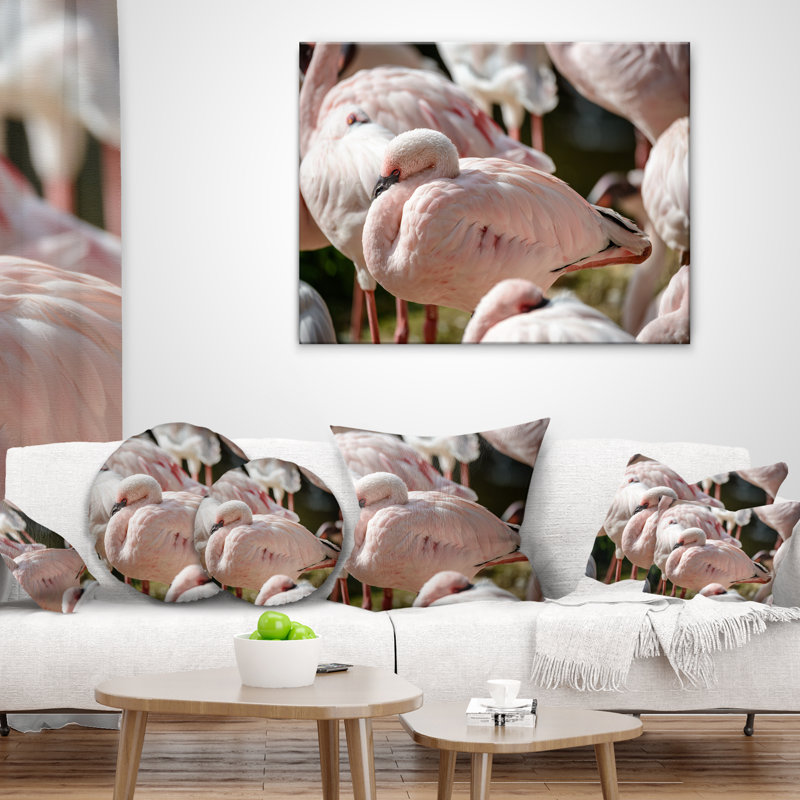 Gros plan sur les flamants roses - oreiller imprimé animal, 16 po x 1 po, Coussin décoratif