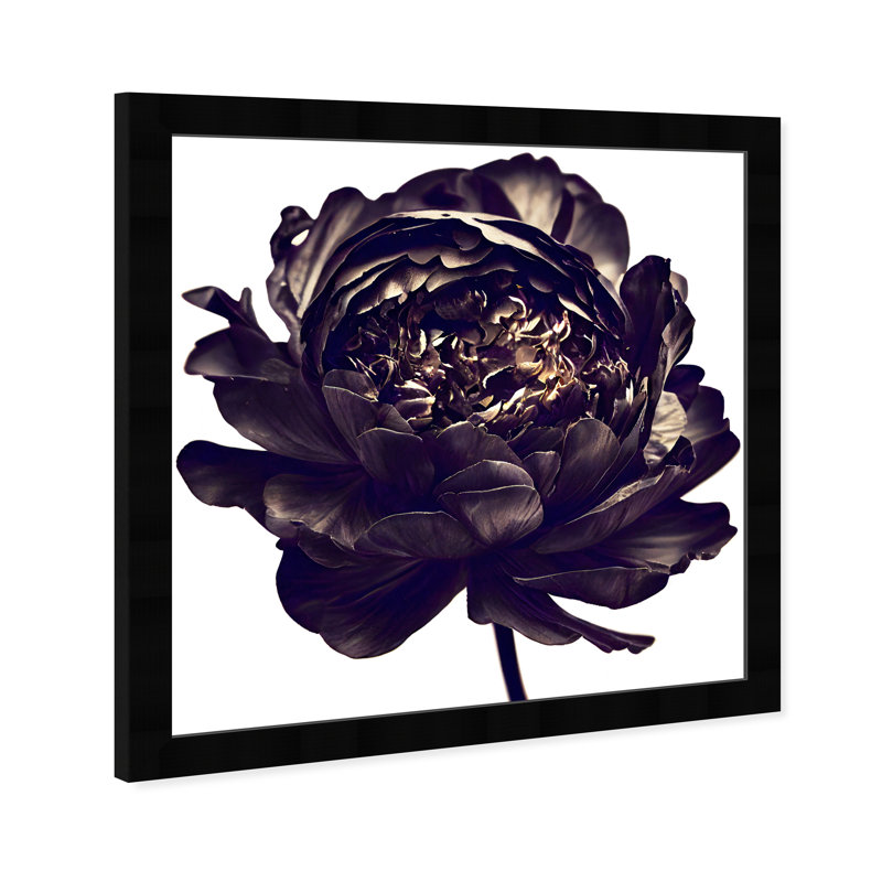 Pivoine noire - cadre photo, Cadre noir, H 26 po x l 26 po