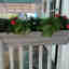 Customer photo 2 of 2