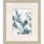 Underwater Botany Set by Barnes Propac Images