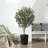 Adcock Artificial Olive Tree with Decorative Pot, UV Resistant Faux Olive Tree with Natural Trunk-1799478849-1799478852