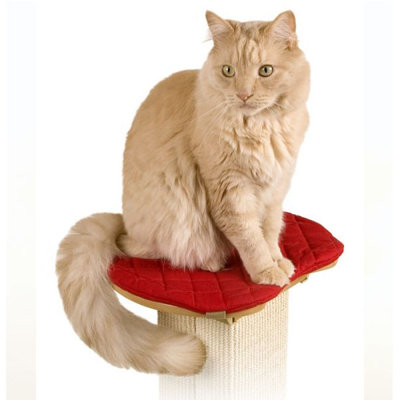 Perchoir à chat 2" ultimate poteau