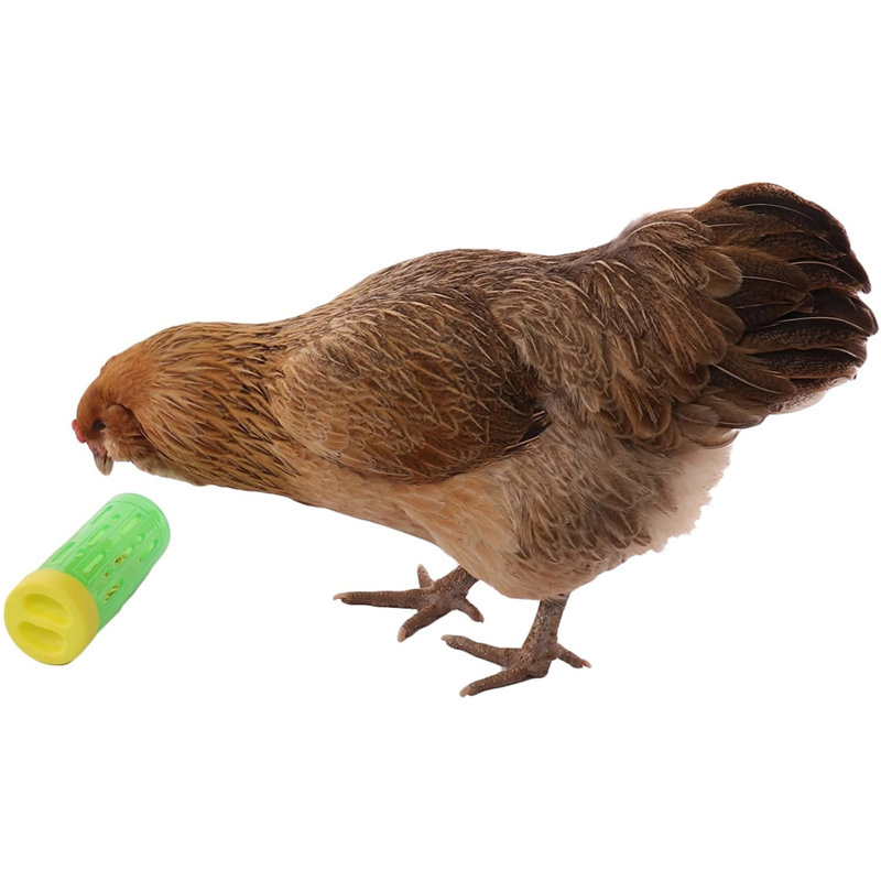Cirilla Plastic Feeder