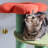 Ermajean 29'' H Cat Tree