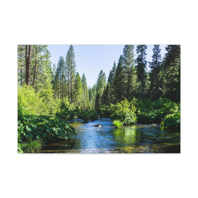 No Frame Print on Canvas