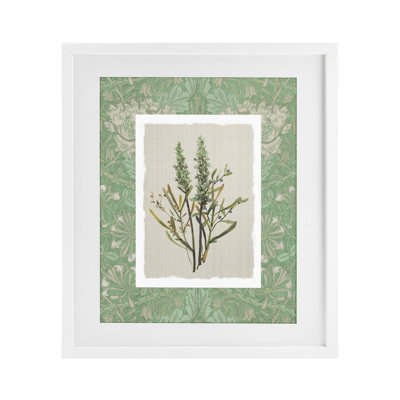 Antique Foliage in Green Framed Print Under Glass, design by Carol Robinson