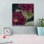 «Epic Graffiti» «Bourgogne Bourgogne 2» par Heidi Kuntz, art mural sur toile, 12 po x 12 po-673848807