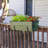 Metal Window Box Planter-61508531-72090160