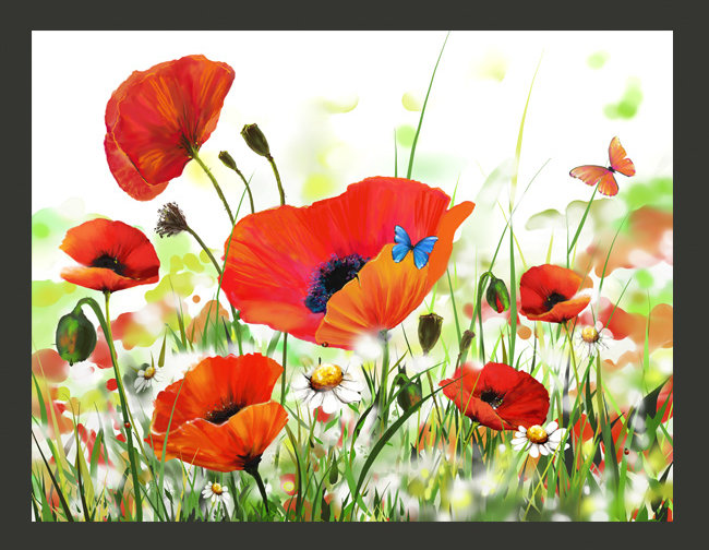 Country Poppies 2.7m x 350cm Wallpaper, 250 cm x 193 cm
