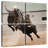 Cowboy Bull Rodeo