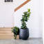 Pot de fleurs Dorlis Fiberstone-865934064-930299739