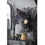Jasslynn Halloween sorcière assise