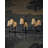 Blackthorn Chandelier