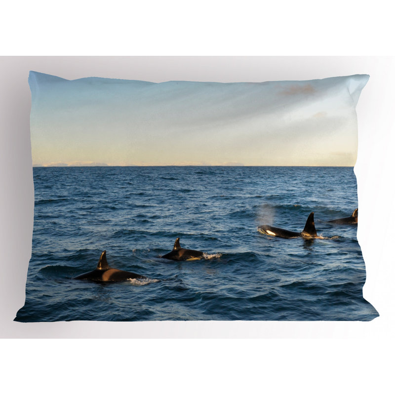 Polyester Sham Set, Twin