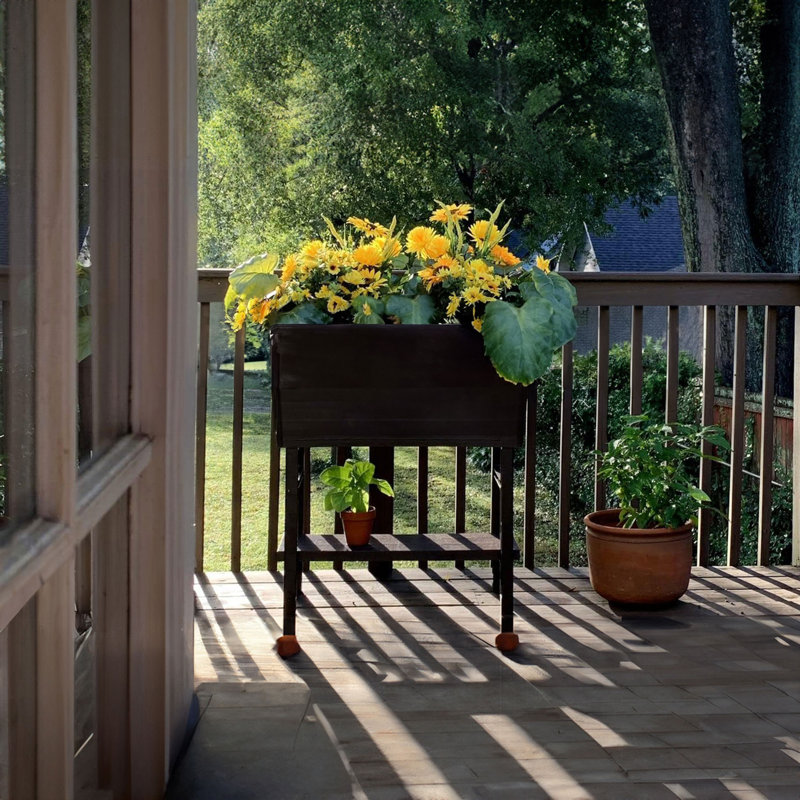 Lit de jardin surélevé pour l'extérieur