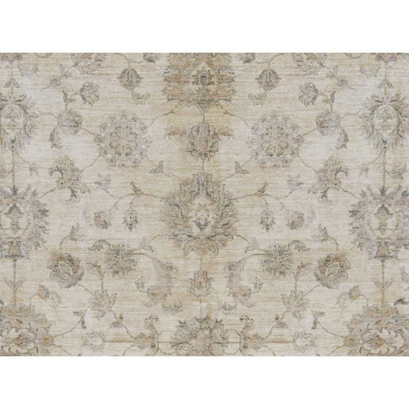 Ziegler Wool Oriental Area Rug in Beige