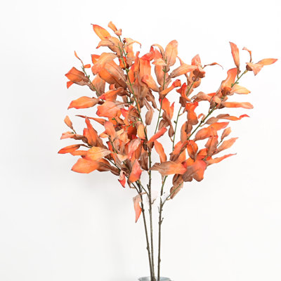 Branches de feuilles de pamplemousse 38 po