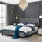 Boxford Upholstered Platform Bed-305982509