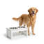 Support pour plats pour chien, poste de repas surélevé, support pour bols pour animaux