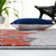 Drury Looped/Hooked Orange Rug
