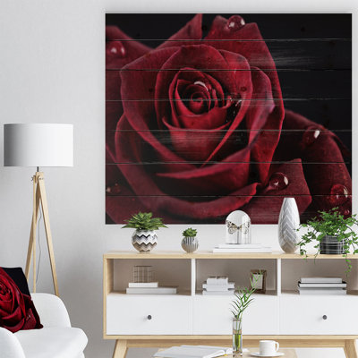 " Red Rose With Raindrops On Black "