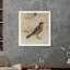 Michigan Robin Print-266742485
