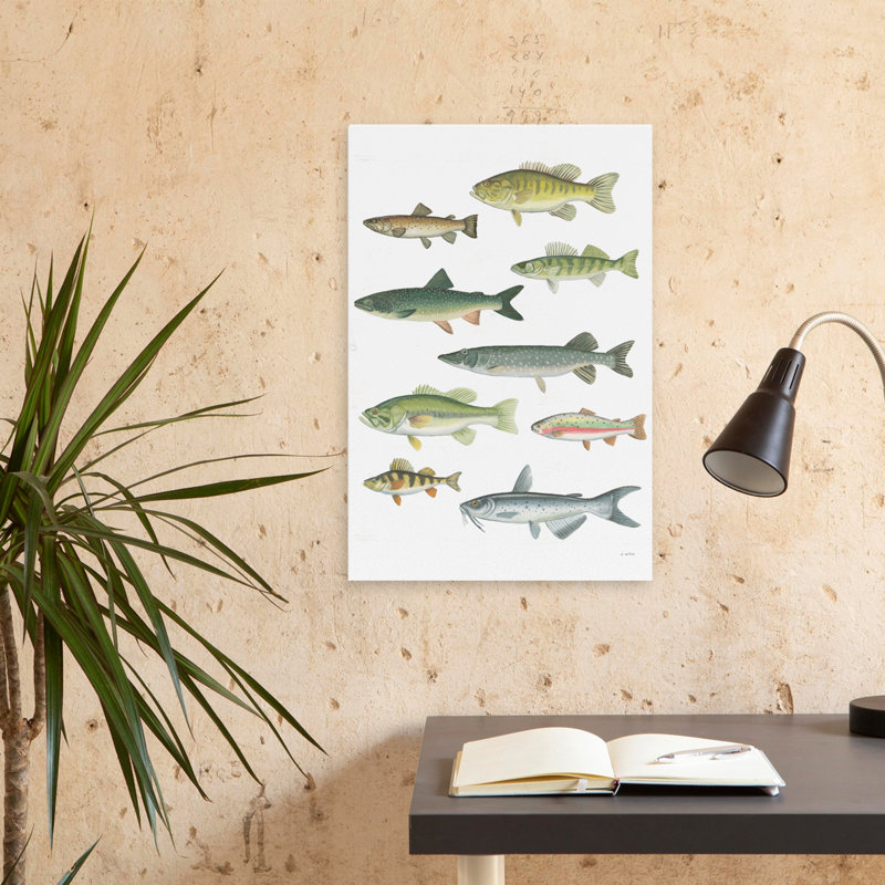 Fresh Catch V - Animal Bass Blue Brown Trout Art, 24" H x 16" W