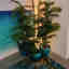 Customer photo 3 of 3