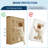 Shoe Cabinet with Flip Drawers, Slim Freestanding Shoe Rack Cabinet, Flower Pattern & Diamond-Shaped Handles-490355465-490355461-497914150