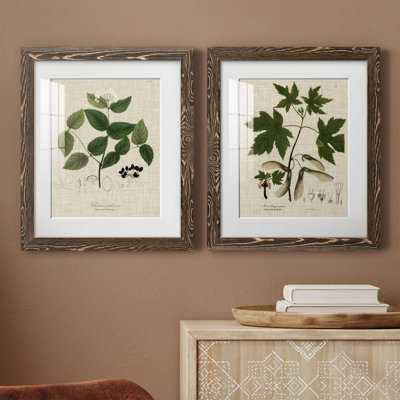Lin et feuilles I - ensemble de 2 reproductions d'art sur papier encadré