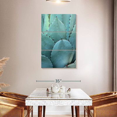 Harnek Thorny Agave