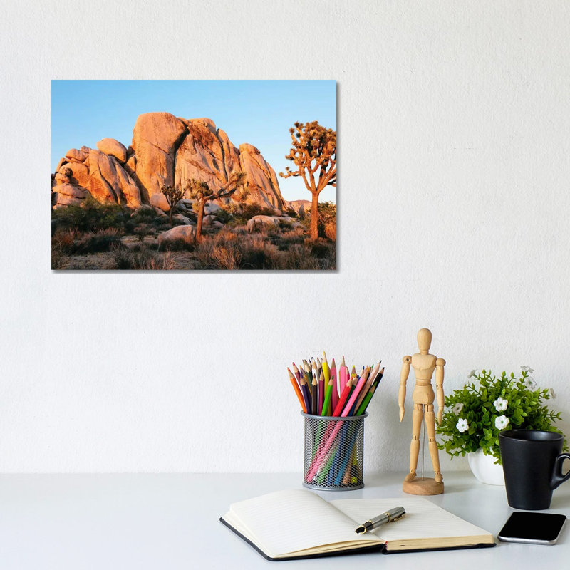 Sunset At Joshua Tree National Park, California by Matteo Colombo - Wrapped Canvas Print, 20.32 cm H x 30.48 cm W