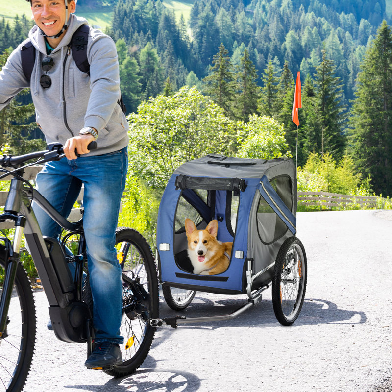Pet Carrier, Blue
