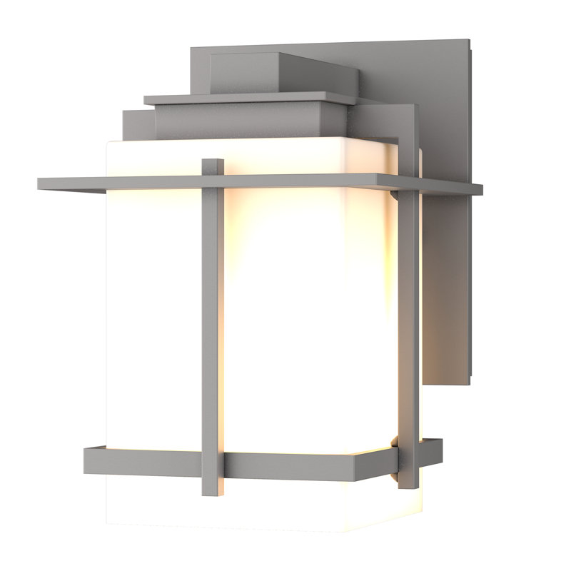 Tourou 7.4" H Outdoor Armed Sconce, Coastal Burnished Steel