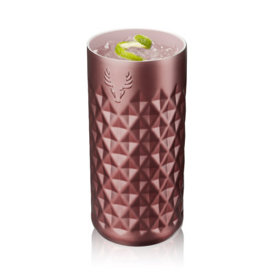 Paragon Stainless Steel Highball Tumbler in Electric