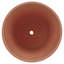 Thanh Pot Planter-1487571650
