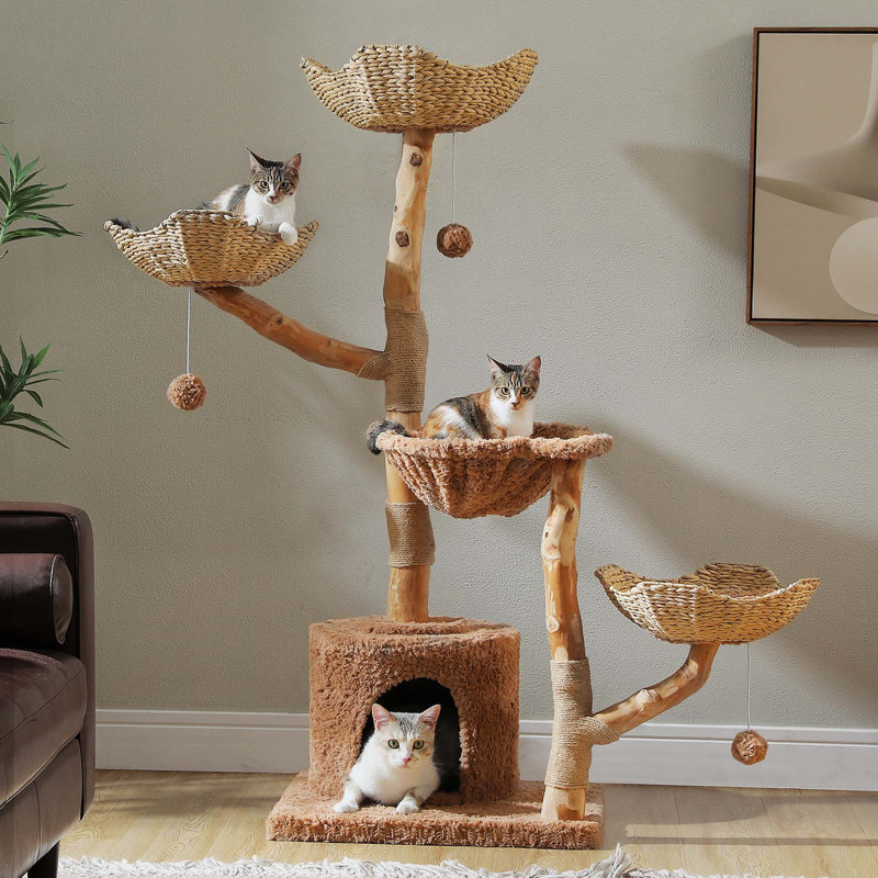 Tour pour arbre à chat moderne avec branche naturelle, paniers en osier tissé à la main, condo, hamac doux et poteau à griffer