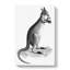Kangaroo in Black & White by George Shaw - Wrapped Canvas Drawing Pint - Wrapped Canvas-55362172