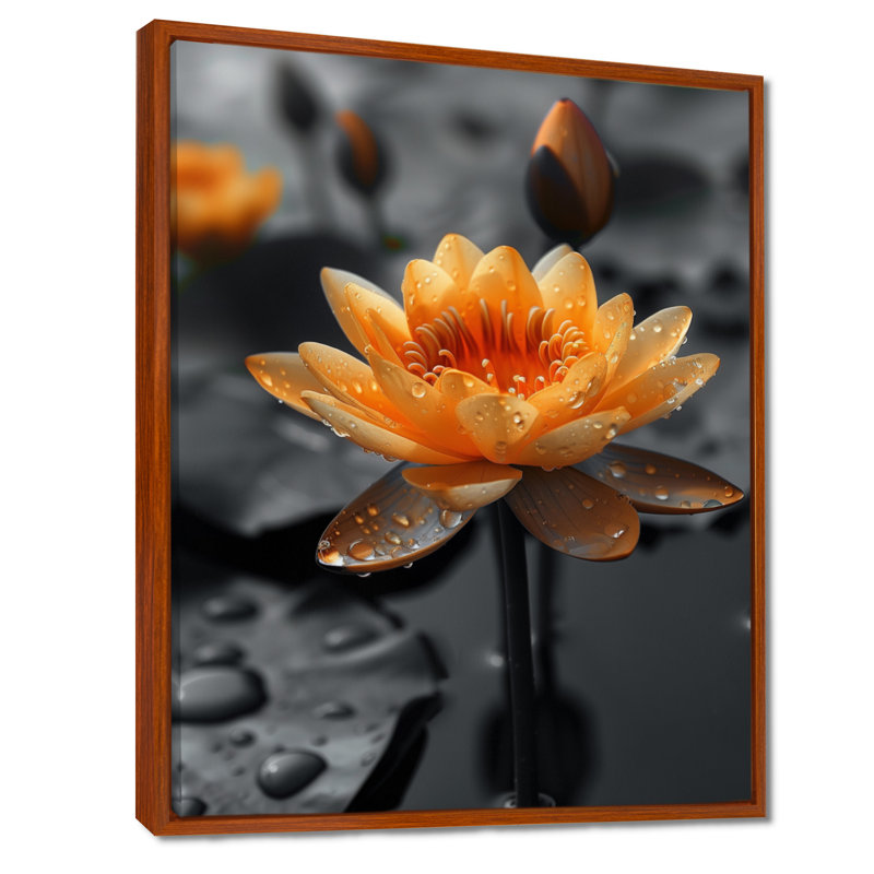 Blanc blanc, reflet de lotus photo III - Lotus, art mural, salon, Cadre flottant brun, H 24 po x l 32 po