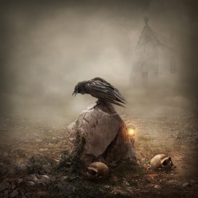 Crow Sitting On A Gravestone by Egal - Wrapped Canvas Print
