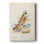 Hawk Owl - galerie sur mesure-403607938