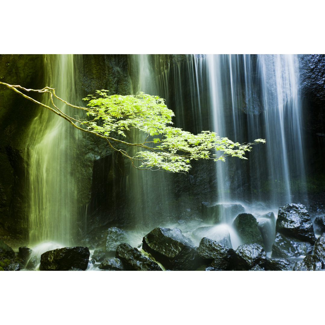 Wasserfälle in Japan von Ooyoo - Kunstdrucke auf Leinwand