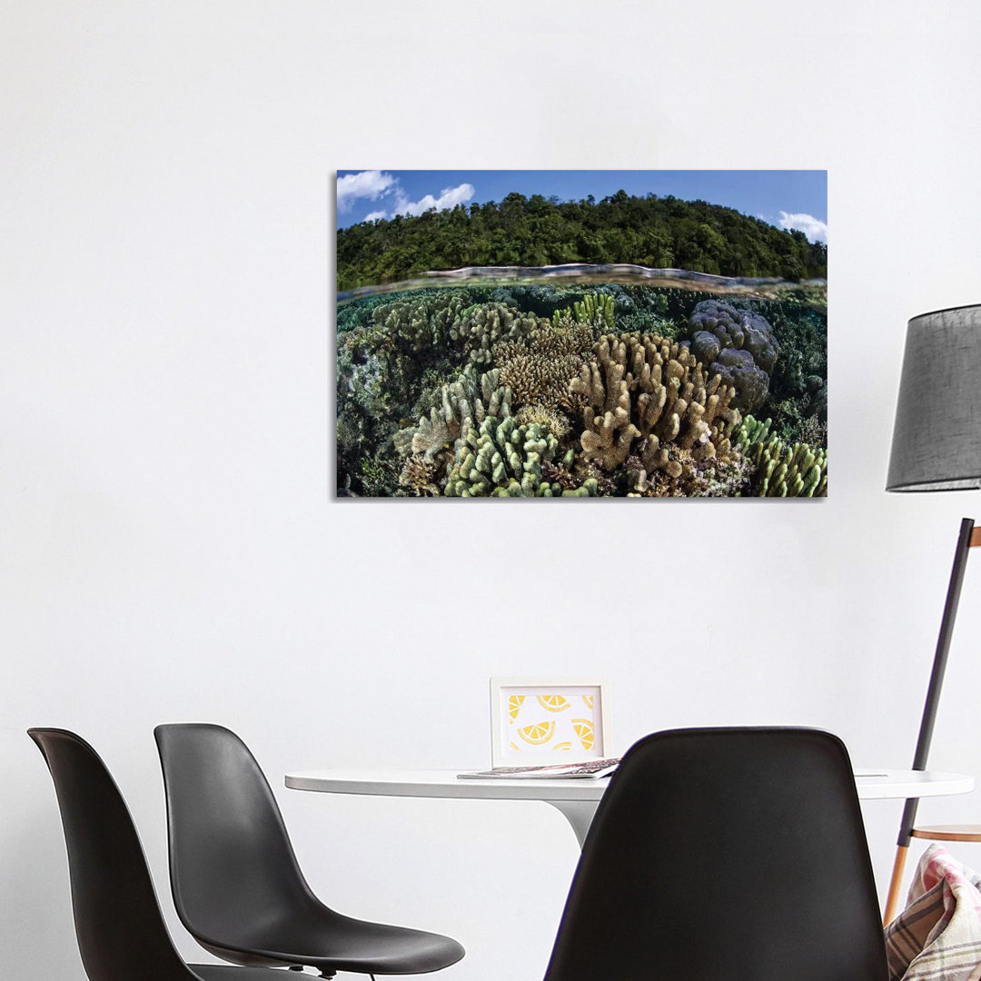 A Diverse Array Of Reef-Building Corals In Raja Ampat, Indonesia I von Ethan Daniels - Galerie-Giclée auf Leinwand