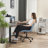 Brionni Upholstered Task Chair Swivel Executive Chair Faux Leather Home Office Chair with Wheels-1185120141