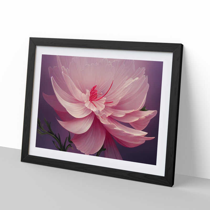 Creative Carnation Flower - Single Picture Frame Print, Black, 46cm H x 64cm W x 2cm D